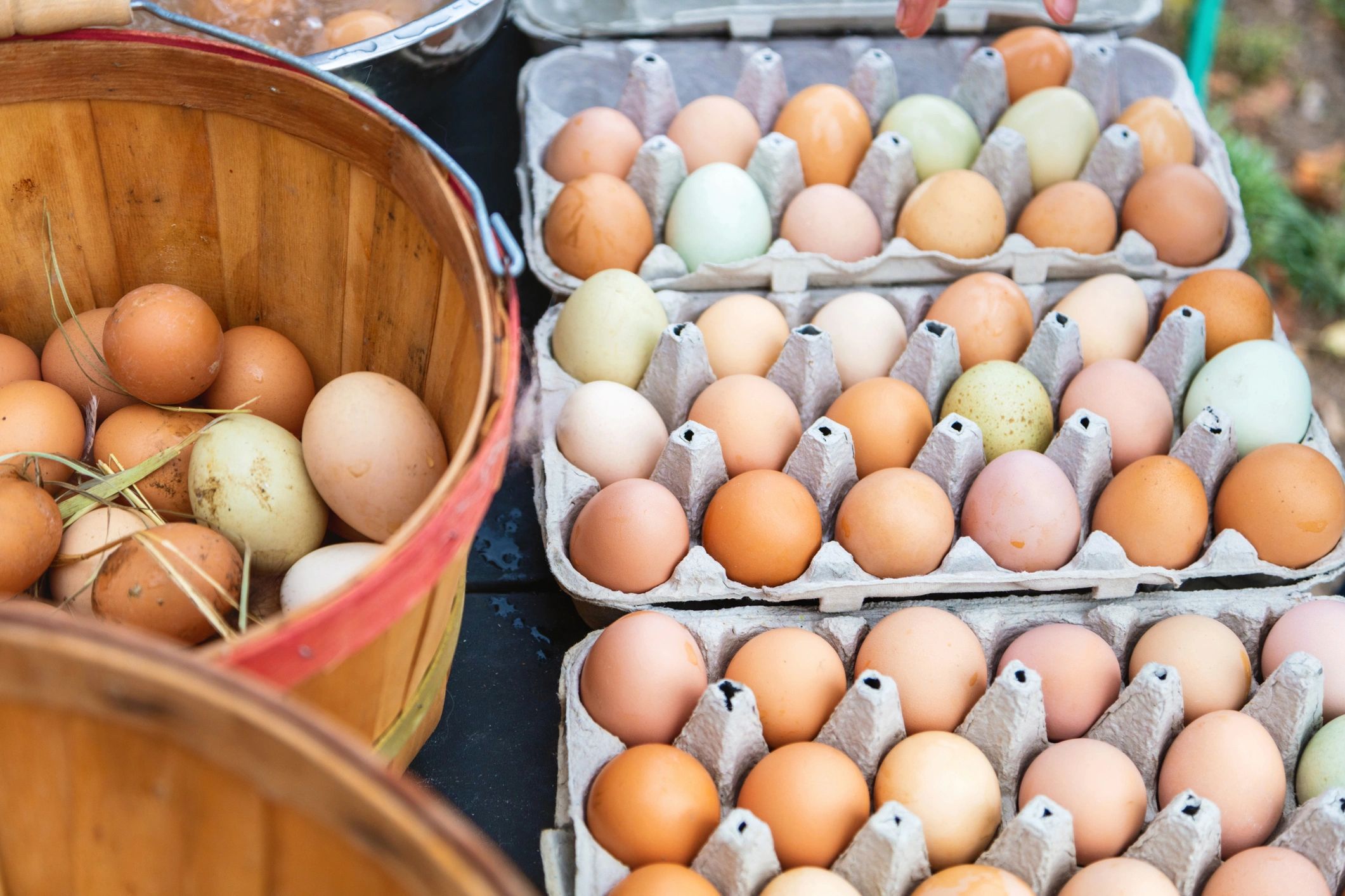 Farm Fresh Eggs — dozen brown eggs in a carton on a rustic farm table