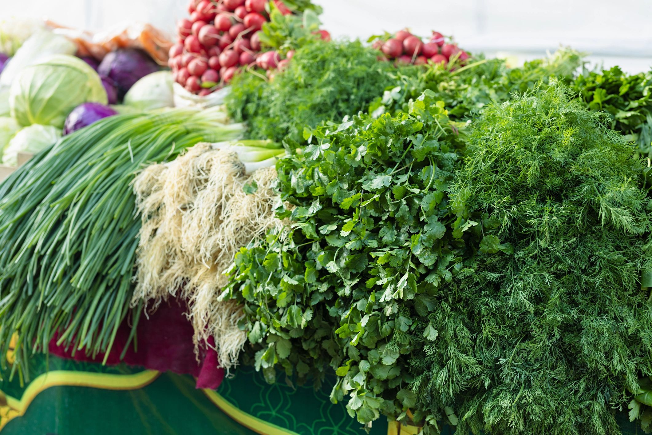 Abundant bunches of fresh herbs and greens at a market stall